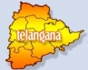 solution to Telangana issue, Pranahita-Chevella project, regional development board for telangana likely soon, Congress decision
