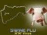 H1N1, swine flu, two more cases of h1n1 in pune, World health organiation