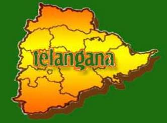 Citizens: Stop suicides, take Telangana decision