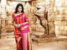 south indian Sari, wedding Sari, blouses that enhance your sari s beauty, Blouses