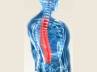 backbone, treatment, osteoporosis it s painful, Painful