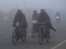 Cold wave kills, Cold wave kills, cold wave kills 140 in north india, North india