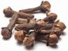 anti-oxidant, healing capacity of cloves, clove it s tiny but powerful, Aromatherapy
