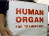 organ transplant, Transplantation of Human Organ Rules, new norms for organ transplant bad decision, Organ donation
