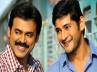 multi starer, shadow, venky s special interest on multi starrers, Shadow movie