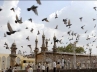 Babri Masjid demolition, red alert in Hyderabad, security beefed up in ap capital, Security measures