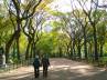 Memory increases, thick arguments, walk in a park to increase memory skills, Morning walk