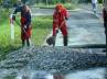 tonnes of fish, tonnes of fish, doltish driver spills tons of pilchars onto road, Polan