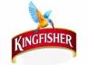 kingfisher crisis, ministry of the civil aviation., the king of bad times no recovery plan for kingfisher, Dgca