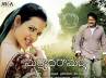 maryada ramanna bollywood, maryada ramanna telugu movies, maryada ramanna in malayalam, Maryada ramanna