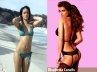 Pantene Model, Elisabetta Canalis, rate the hottest elisabetta or rihanna fenty, Rihanna