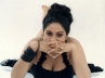 Chunky buxom babe, Chunky buxom babe, heavy beauty raasi plans to come back in films, Chunk