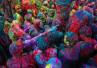 colour in Vrindavan., Happy Holi 2013, slideshow festival of colours emotions through photographs, Holi festival