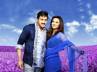 mr pellikoduku starring, mr pellikoduku starring, mr pellikoduku review will he get the right bride, Mr pellikoduku starring
