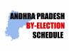 Loksabha constituency, election notification released, election notification out, 18 assembly constituencies