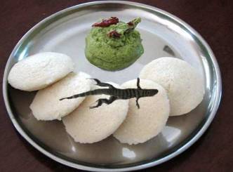 Dead lizard in idli!