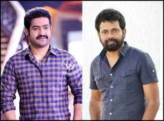 Finally, NTR confirms Sukumar