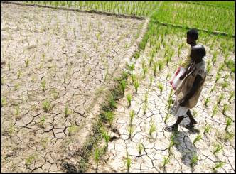 India could face drought this year
