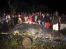 philippines, Bunawan, giant croc measuring 20 24 feet in philippine, Guinness world records