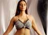 Aa Ante Amalapuram, Actress Tabu, actress tabu to dance for allu arjun s item song, Amalapuram mp