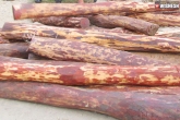 Smuggling, Red sandal wood, a chinese accused in red sandalwood smuggling, Smuggling