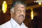 AIADMK, Jayalalithaa, aiadmk party split temporary says tn former cm o panneerselvam, Aiadmk party