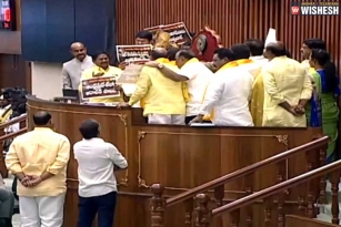 AP Assembly: TDP Leaders Suspended
