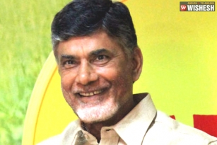 AP CM Trying Every Trick Hard To Win Nandyal By-Elections