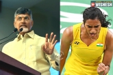 Chandrababu Naidu, olympics, ap cm takes credit of p v sindhu s victory, Lympics