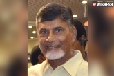 AP Government, High Court, criminal cases against td leaders will not be withdrawn ap govt to hc, Criminal cases