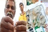 Monsoon, AP, ap farmer finds rs 17 lakh worth diamond, Diamond