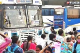 APSRTC Sankranthi buses breaking, APSRTC, apsrtc to run 6 795 special bus services for sankranthi, Bus service