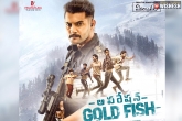 Operation Gold Fish, Operation Gold Fish, mahesh babu releases aadi s operation gold fish teaser, Operation gold fish movie