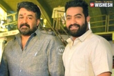 NTR, Malayalam superstar, actor mohanlal apologize to his fans, Malayalam superstar