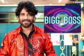 Bigg Boss Telugu 7 news, Bigg Boss Telugu 7 breaking updates, top actors on board for bigg boss telugu 7, Nagarjuna