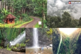 Top Places To Visit In Shimoga, Travel Destination, agumbe the cherrapunji of the south, Shimoga