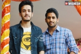 Naga chaitanya, Nagarjuna, akhil s entry is deadline of chaithu, Dochey