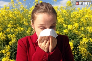 Tips To Prevent Allergy