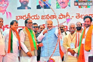 Amit Shah proposes BJP-TRS alliance