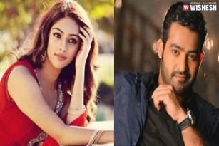 Anu Emmanuel To Romance NTR?