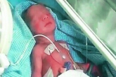 Niloufer Hospital, baby, newborn baby wrapped in polythene found in a bin, Newborn