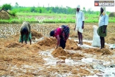 KCR, Telangana, bjp leaders visits telangana farmers, Telangana farmers