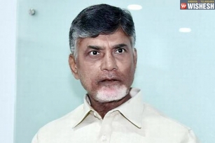 BJP Playing With Our Sentiments Says Babu
