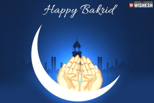 Bakrid - The Holy Festival of Muslims