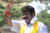 Telangana election campaign, Balakrishna in Telangana, balayya to campaign across telangana, Balayya