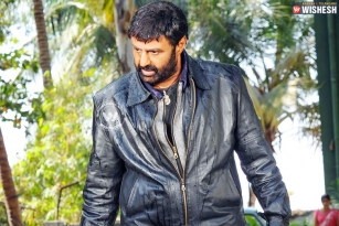 Balayya risky decision for &#039;Lion&#039;