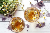 Chamomile Tea for men, Chamomile Tea for women, five hidden benefits of chamomile tea, Health benefits