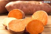 health, health, amazing benefits of sweet potatoes for skin and health, Lifestyle