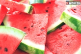 health, benefits, benefits of watermelon seeds, Lifestyle