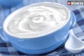 tips, remedies, benefits of yogurt, Lifestyle